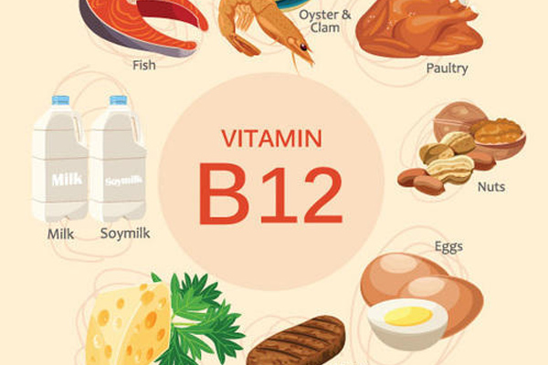 8 Lợi ích của Vitamin B12 có thể bạn chưa biết!!! - Thực phẩm, Mỹ phẩm hữu cơ