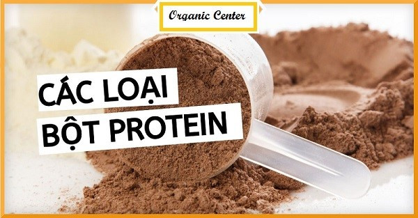 Các loại bột protein bổ sung nhiều dinh dưỡng dành cho gymer và người ăn chay