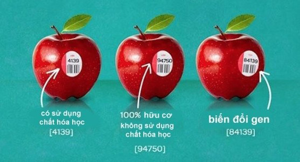 Lưu ý về chỉ số trong miếng dán trên trái cây nhập khẩu