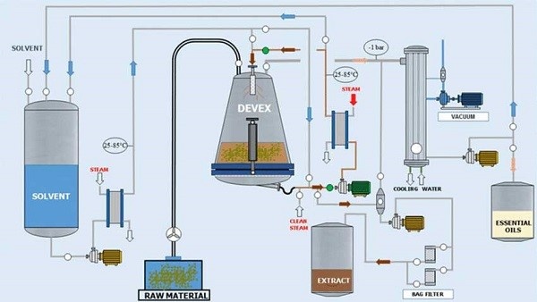 Quy trình sản xuất tinh dầu nguyên chất