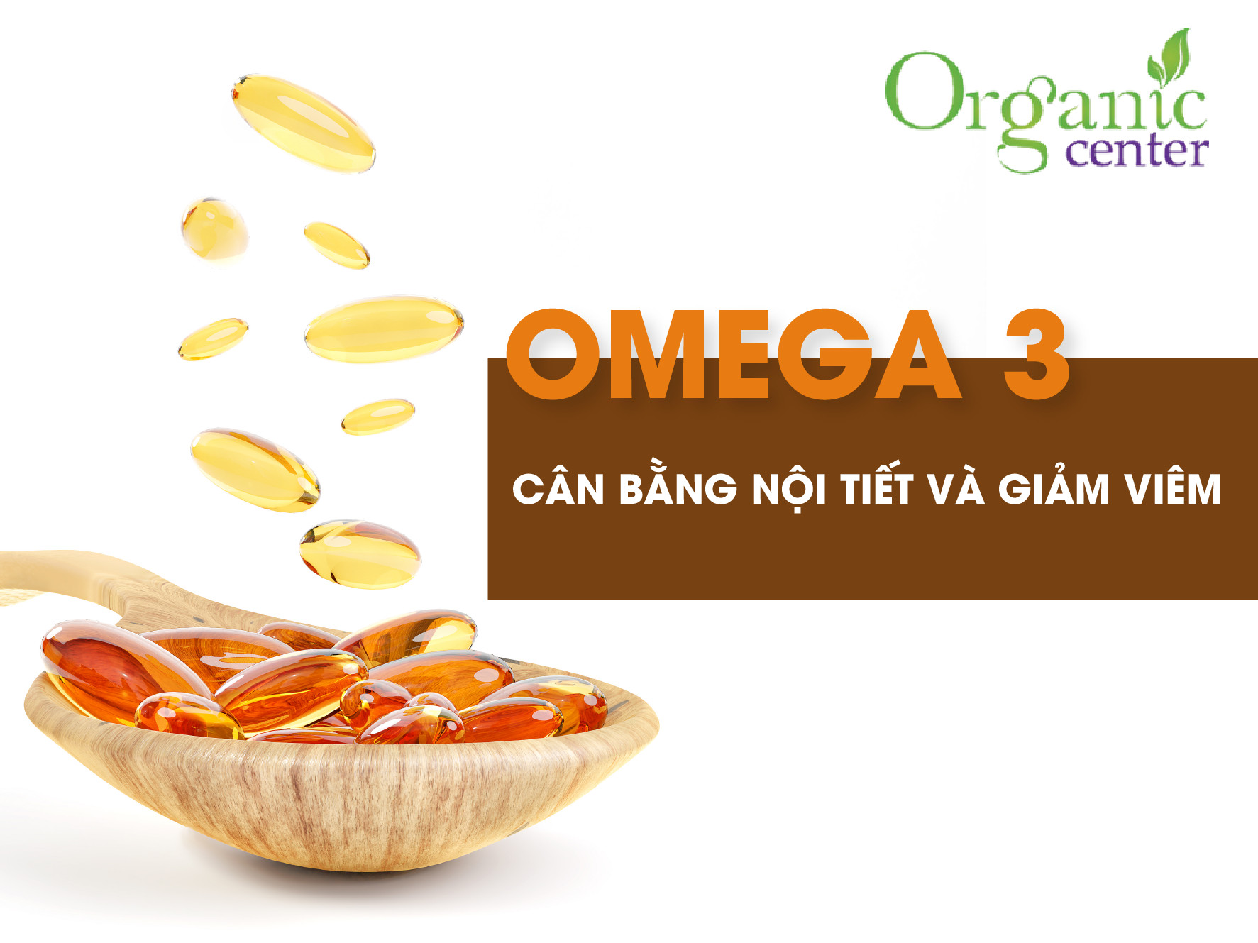 Omega 3 – Cân bằng nội tiết và giảm viêm