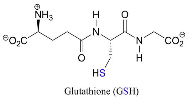 Glutathione – bậc thầy chống oxy hóa trong cơ thể