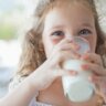 uống sữa bò có giúp trẻ tăng chiều caoi