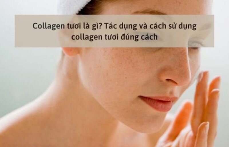 Hướng dẫn cách sử dụng collagen tươi đúng cách